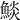 𩸥
