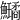 𩽗