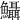 𩽪