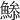 𩹧